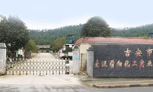吉安市豪迈精细化工实业有限公司安全现状评价