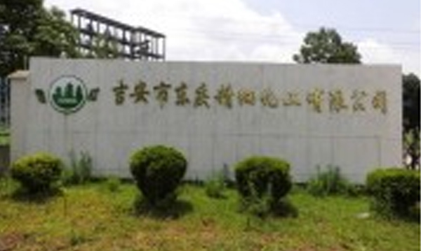 吉安市东庆精细化工有限公司安全预评价