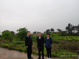 南昌市燃气集团有限公司九龙湖（生米）高中压调压站项目  安全预评价报告