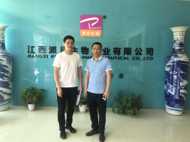 江西派尼生物药业有限公司安全现状评价报告