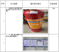 中化石油江西有限公司南昌市新建区乐昌加油站  ​经营危险化学品安全现状评价报告