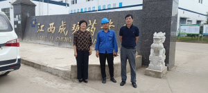 江西成琚药业有限公司（年产25吨倍他米松中间体项目）安全现状评价报告