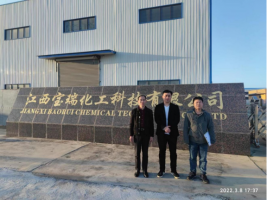 江西宝瑞化工科技有限公司宝瑞年产8000吨环保型石化缓聚剂醌亚甲基类化合物系列项目安全条件评价报告