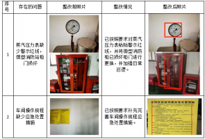 江西申麦新材料科技有限公司年产4万吨有机硅改性产品及配套8300吨特种催化剂和3700吨无机盐一体化项目（年产2600吨有机锡催化剂）安全验收评价报告
