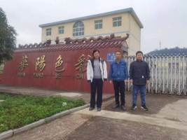 江西省上高县华阳色彩科技发展有限公司安全现状评价报告