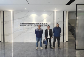 江西天永诚高分子材料有限公司新能源封装及热管理材料扩产项目安全验收评价报告